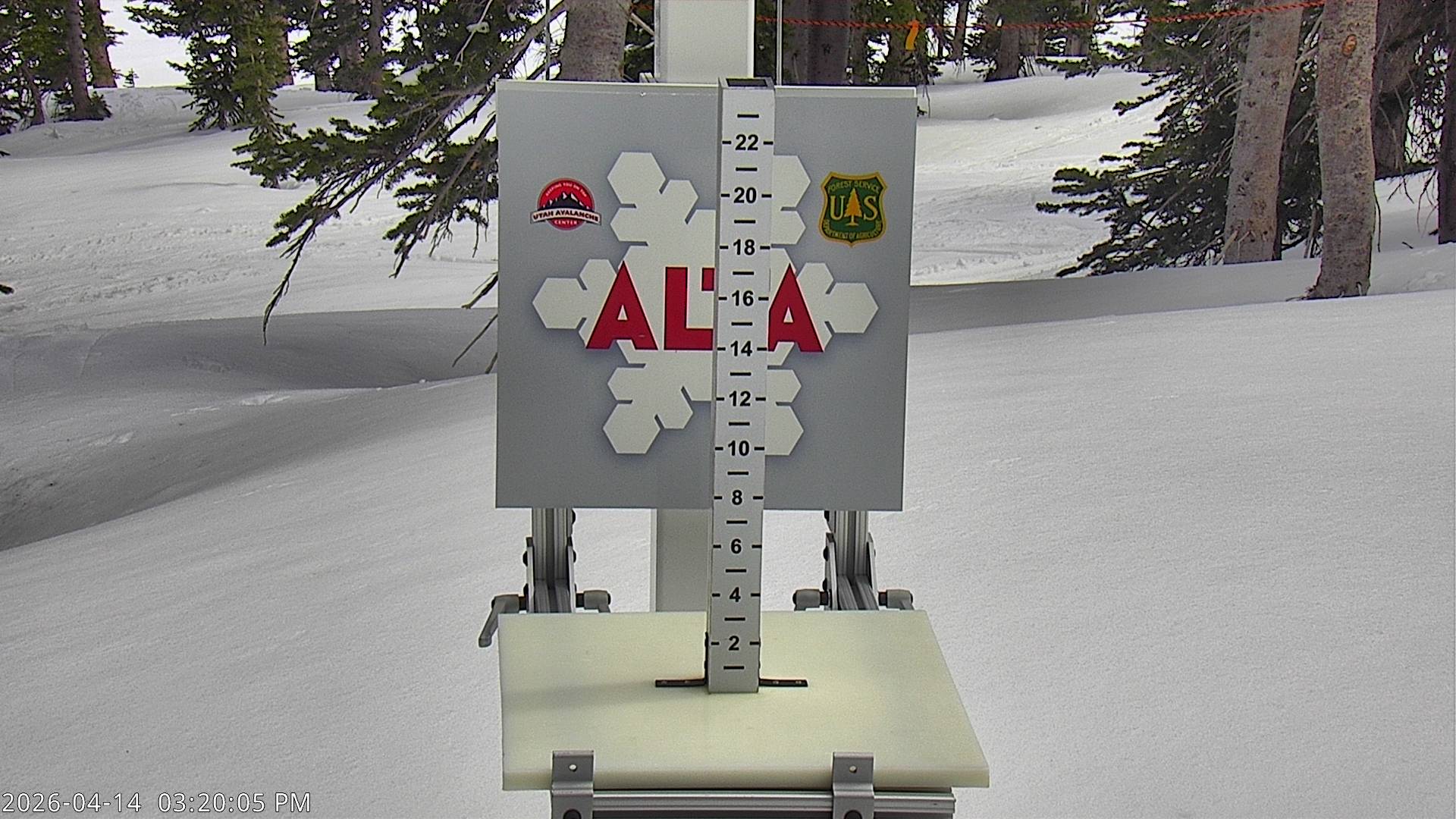 Alta Ski Area snow stake cam