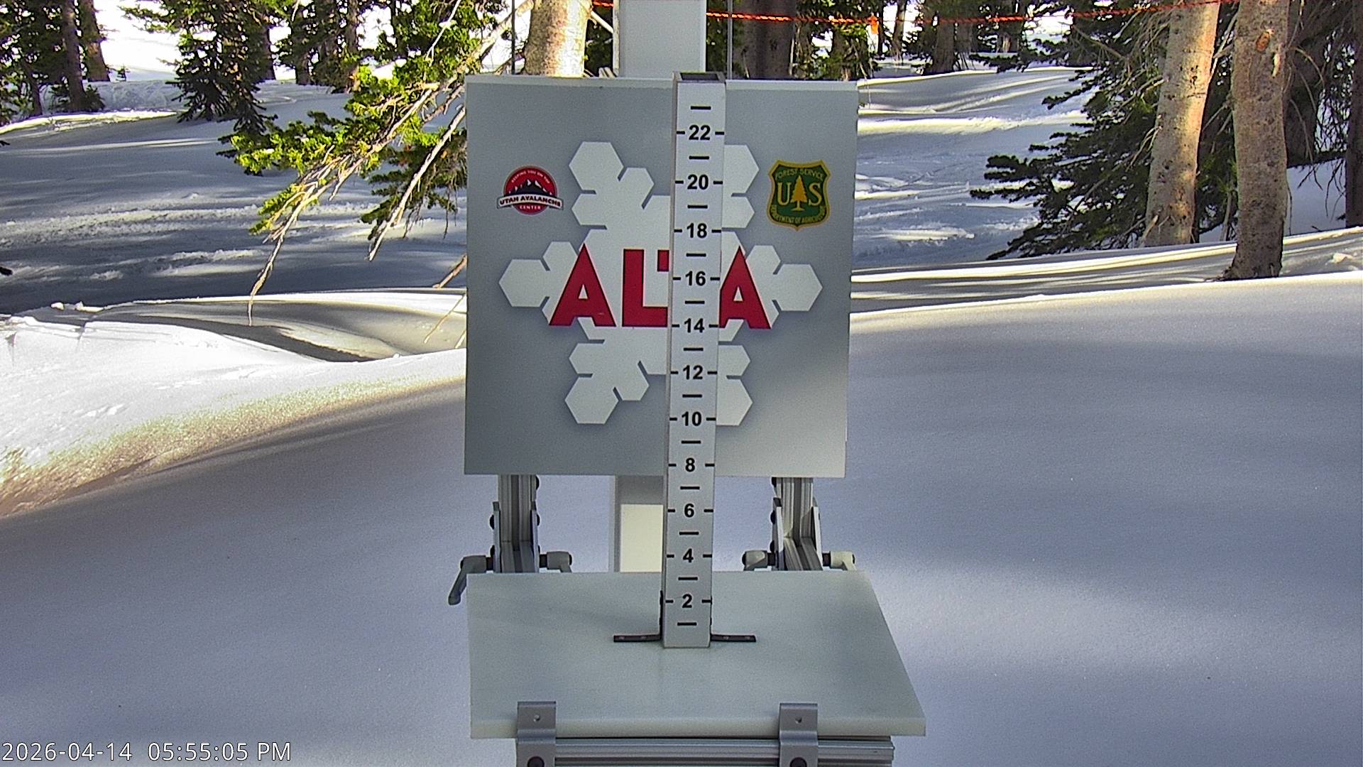 Alta Ski Area snow stake cam