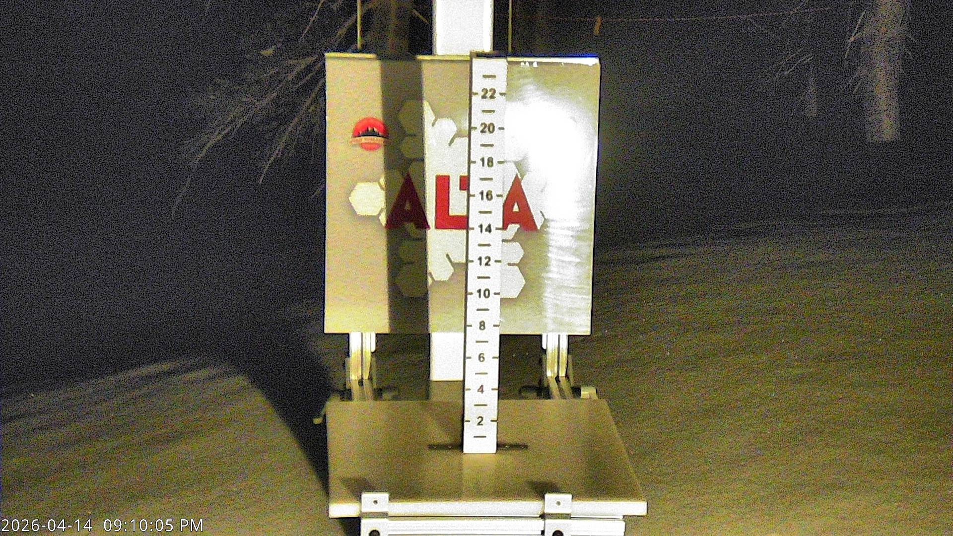 Alta Ski Area snow stake cam