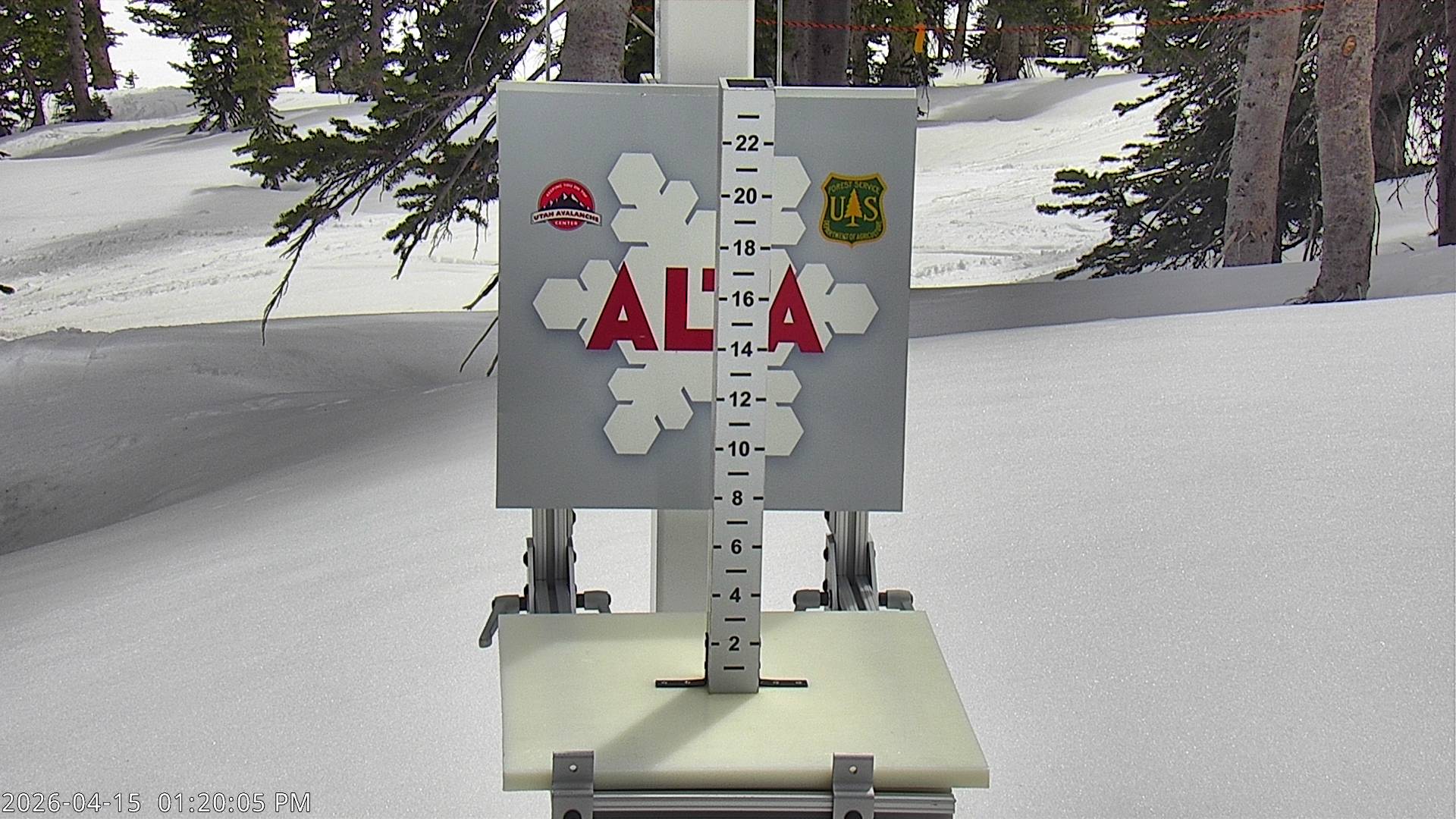 Alta Ski Area snow stake cam