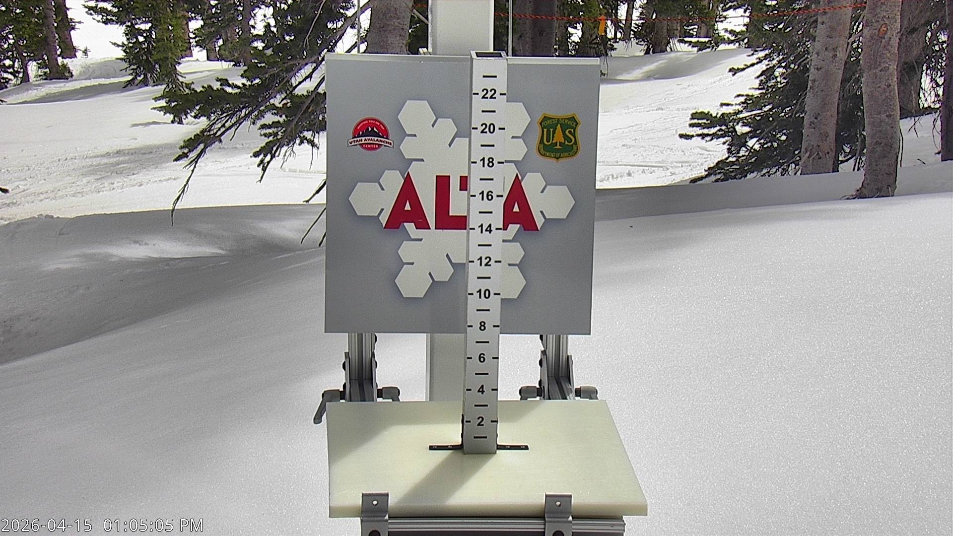 Alta Ski Area snow stake cam