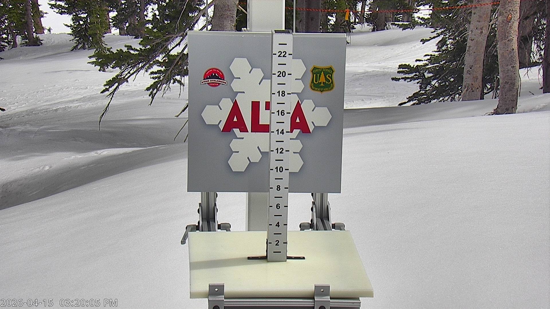 Alta Ski Area snow stake cam
