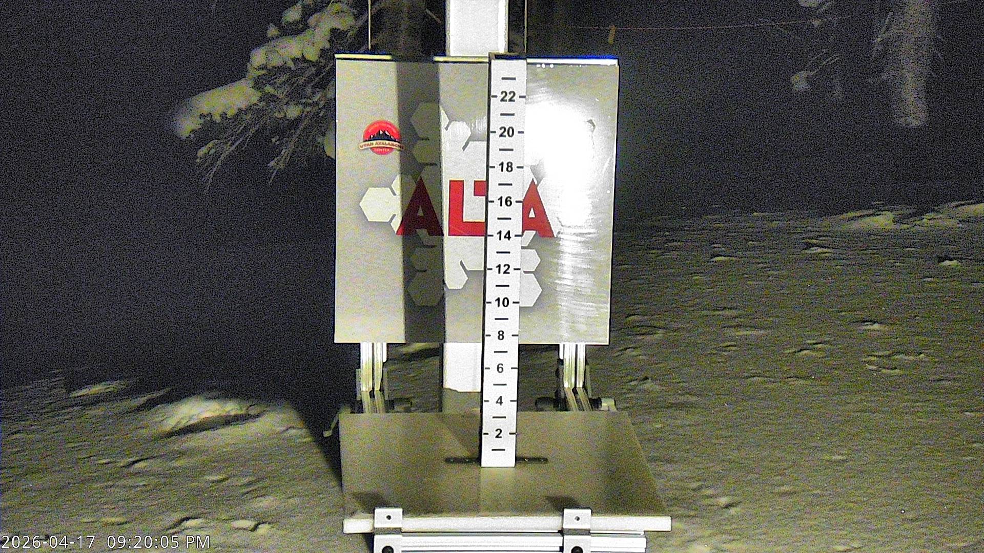Alta Ski Area snow stake cam