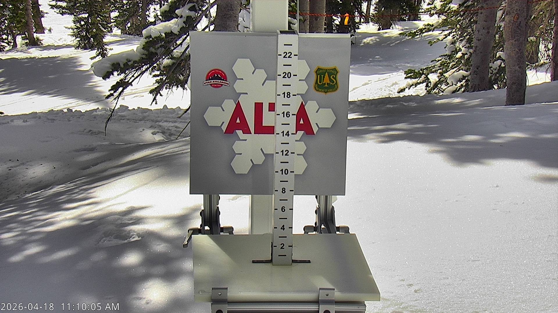 Alta Ski Area snow stake cam