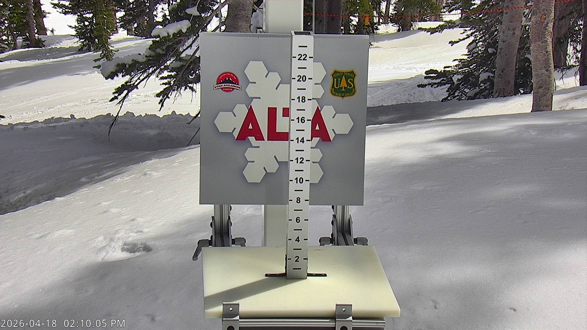 Alta Ski Area snow stake cam