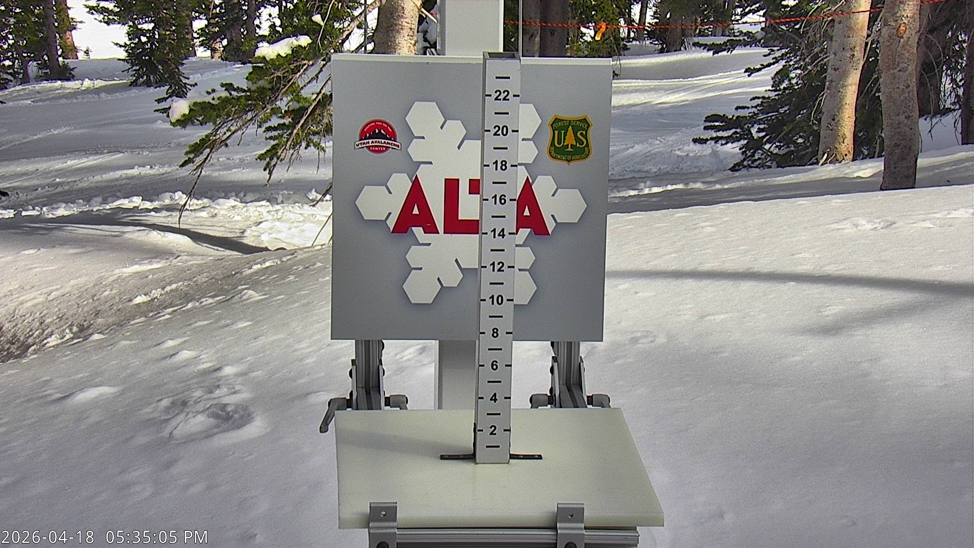 Alta Ski Area snow stake cam