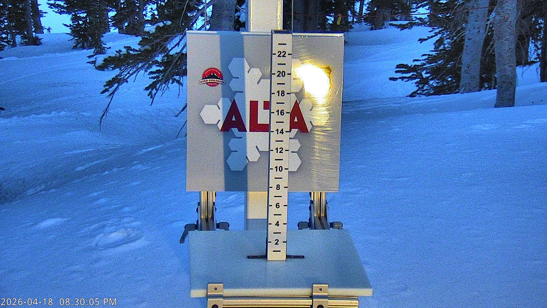 Alta Ski Area snow stake cam