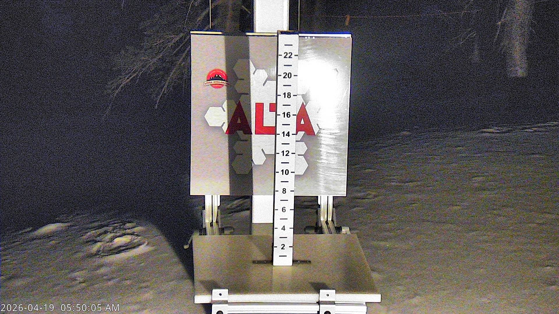Alta Ski Area snow stake cam