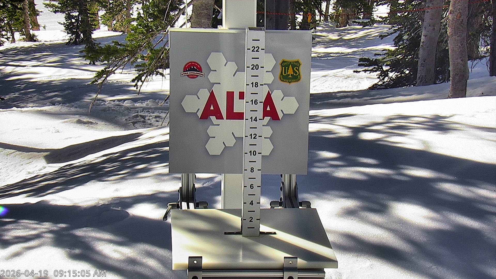 Alta Ski Area snow stake cam