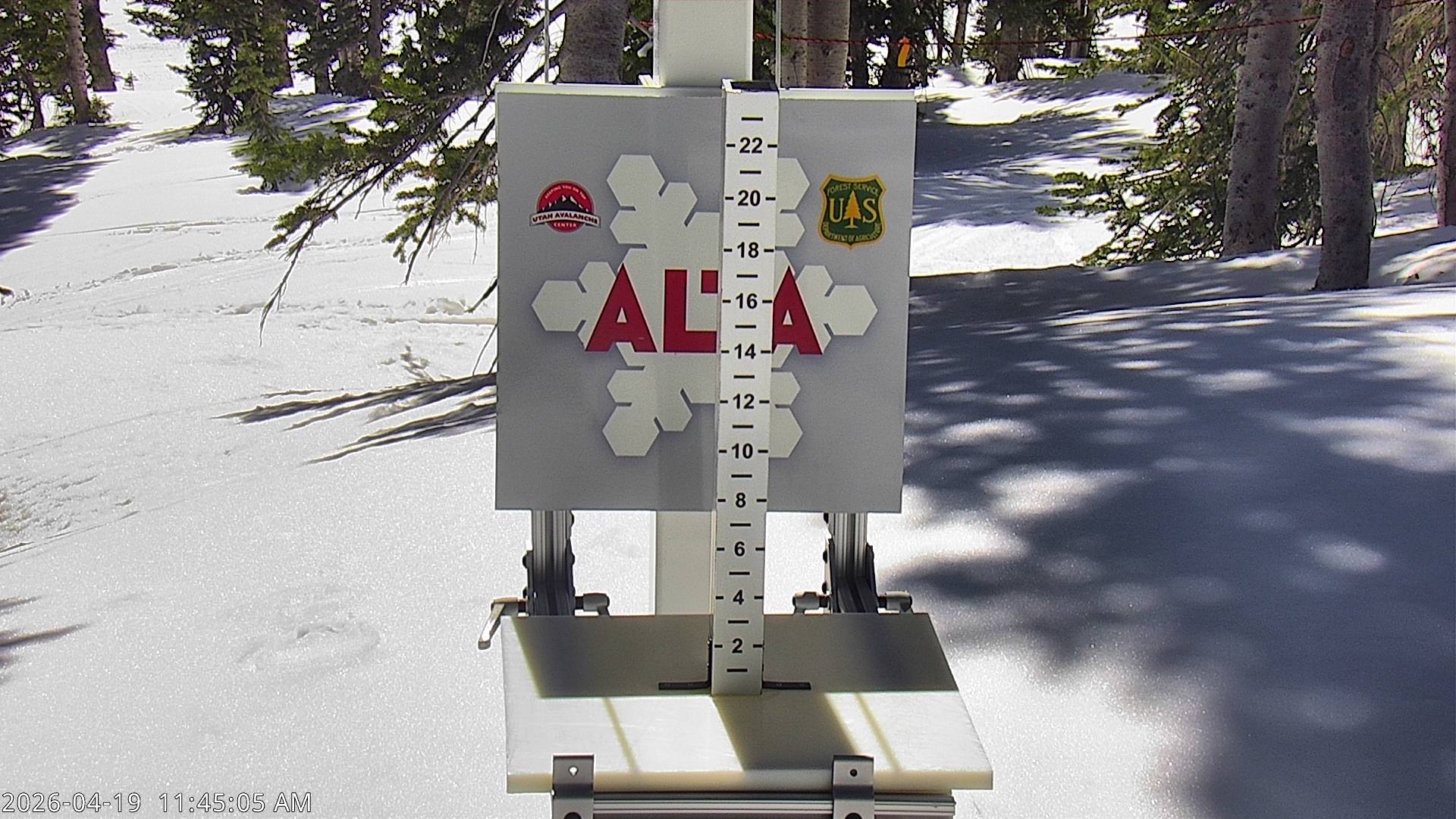 Alta Ski Area snow stake cam