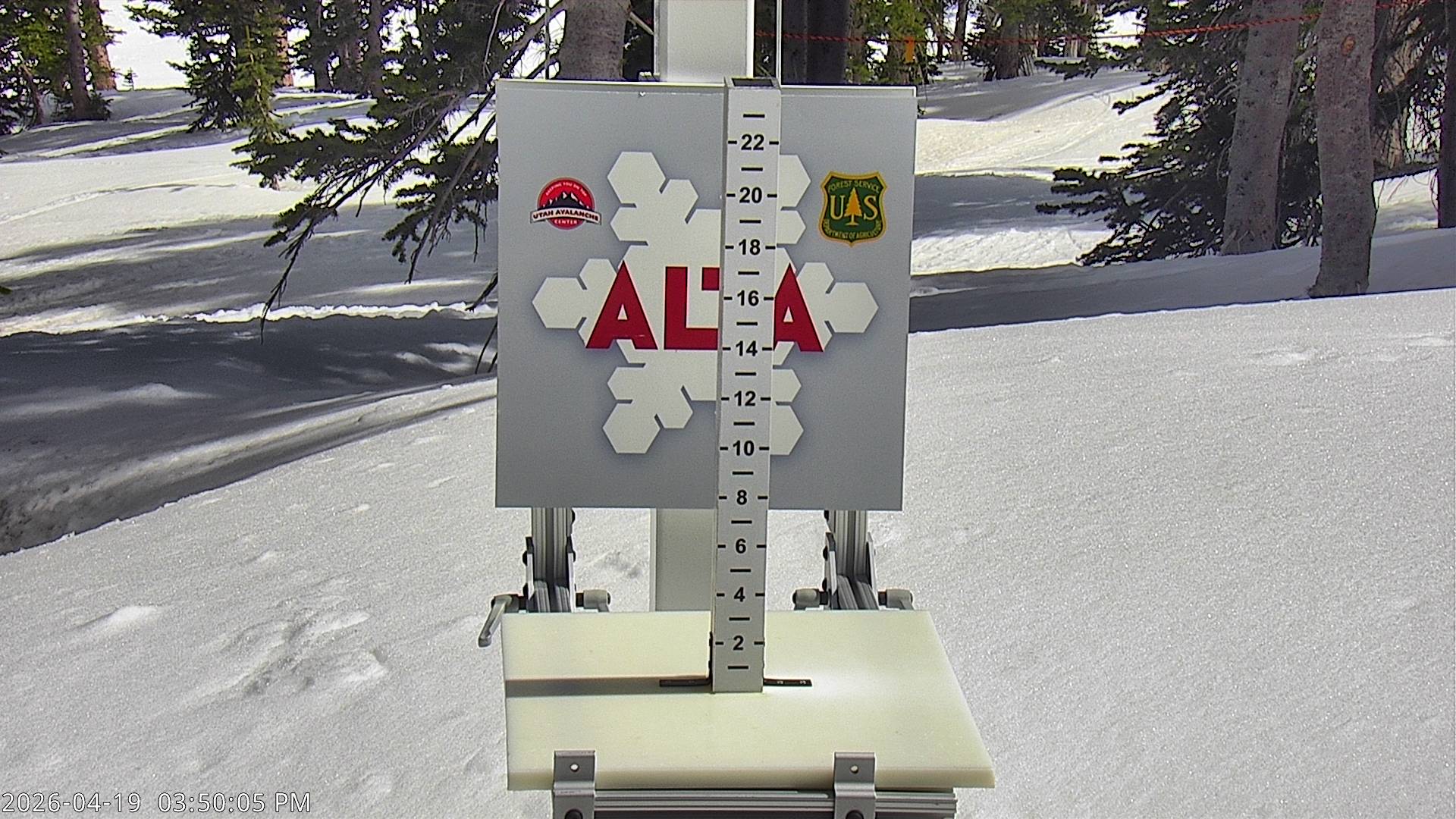 Alta Ski Area snow stake cam