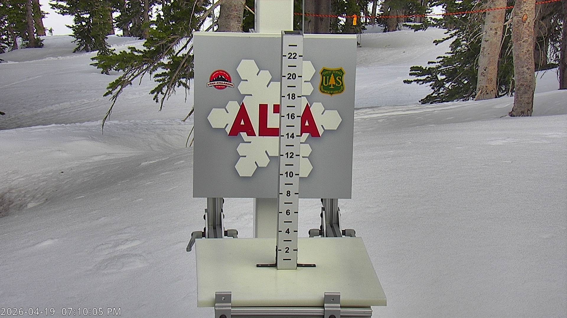 Alta Ski Area snow stake cam