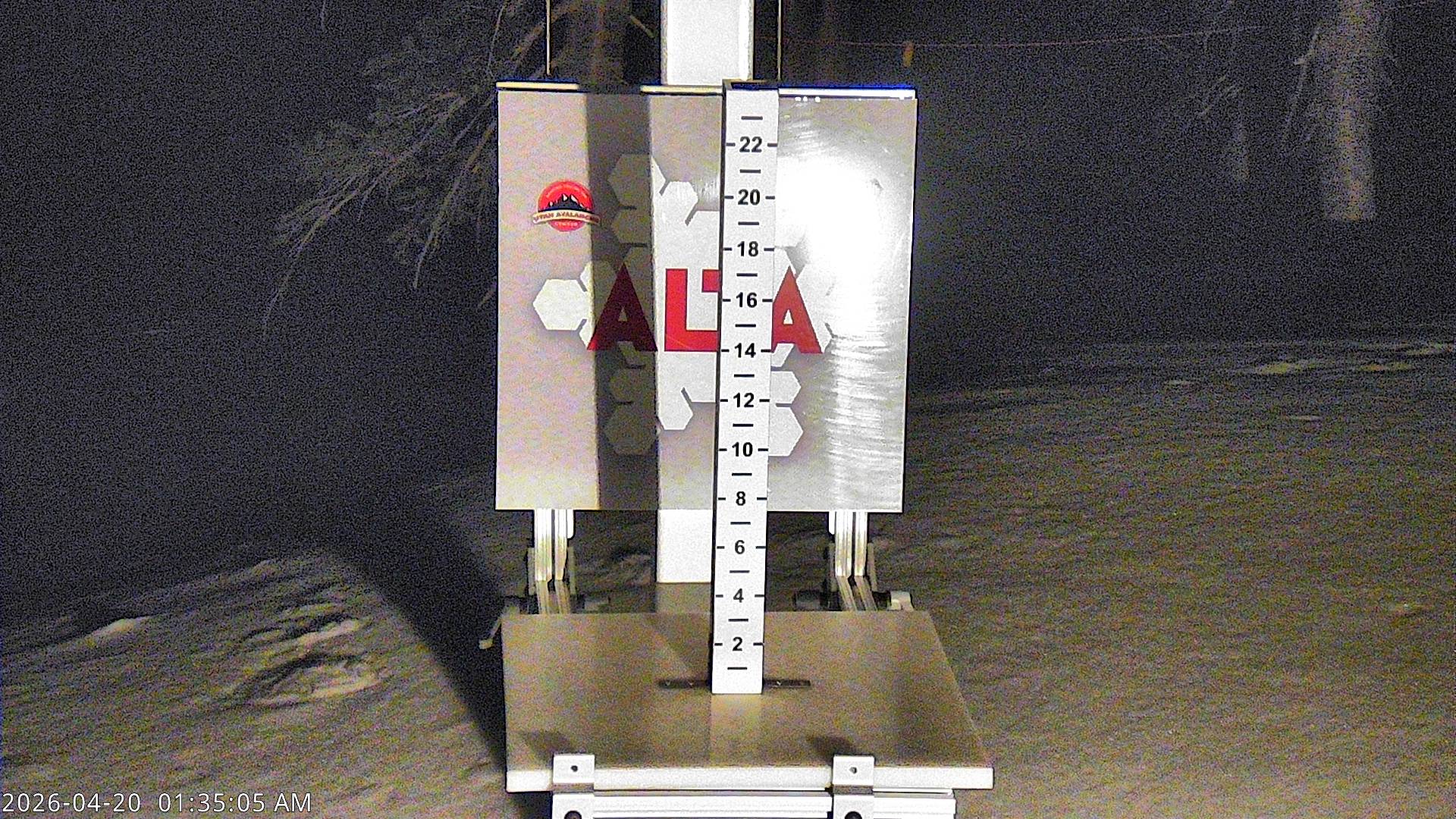 Alta Ski Area snow stake cam