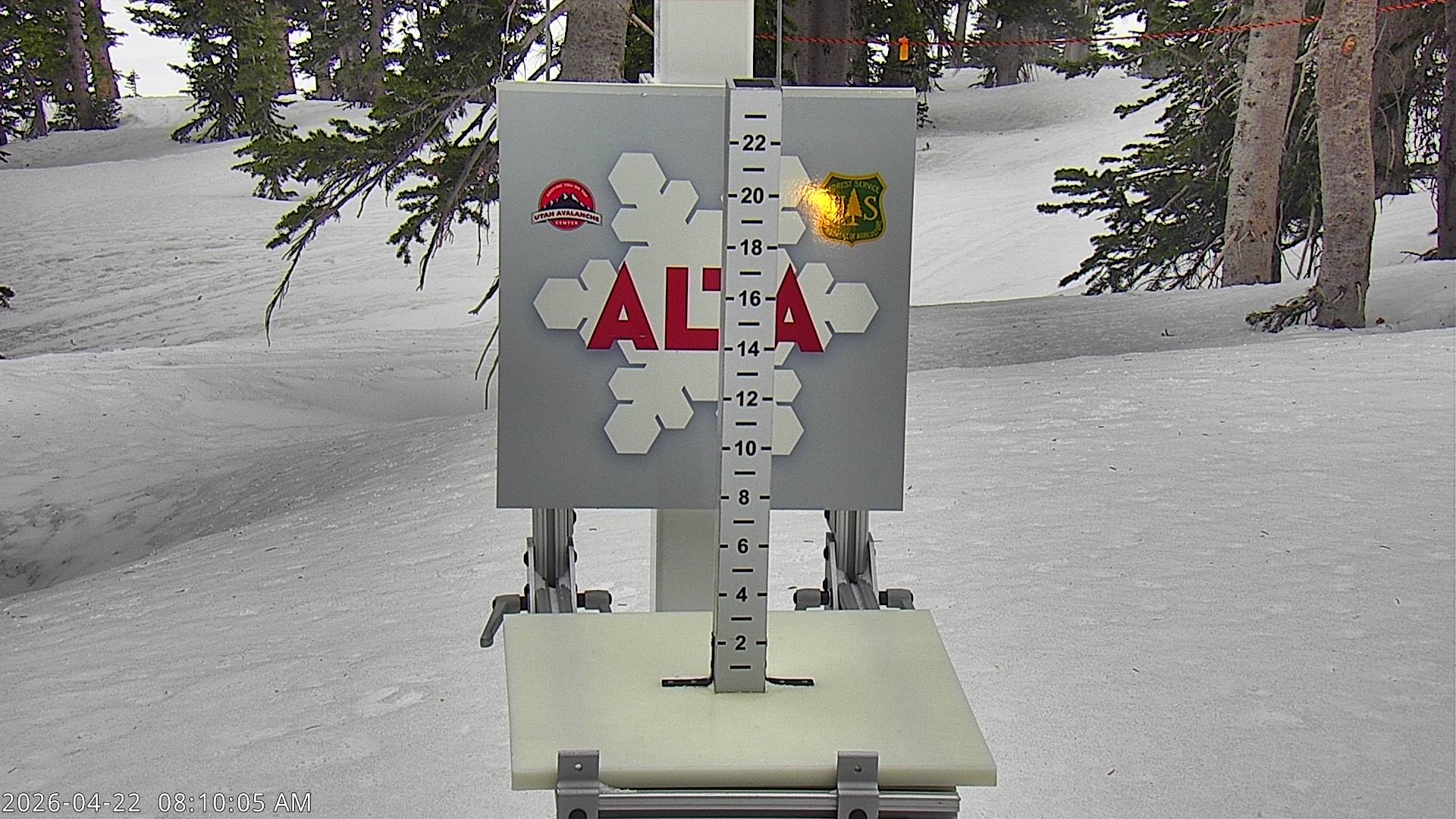 Alta Ski Area snow stake cam