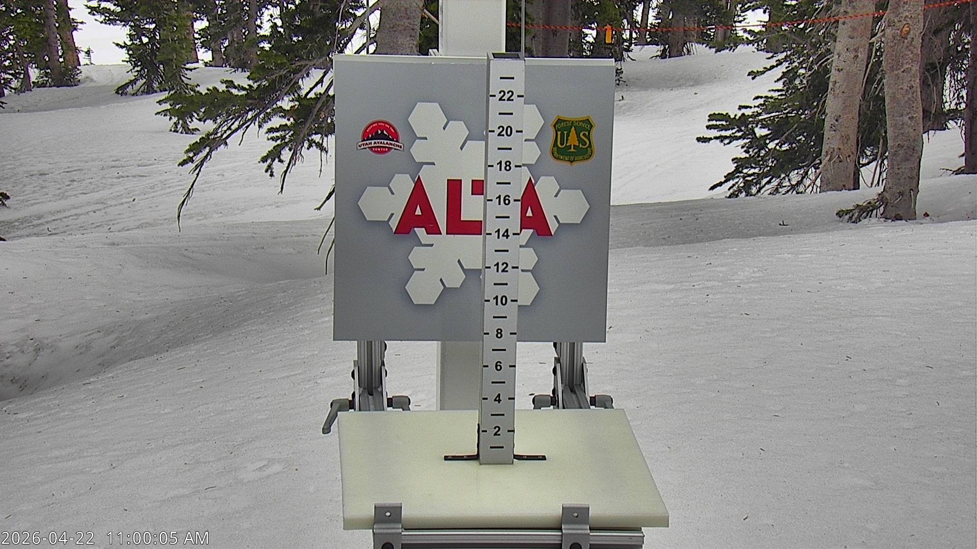 Alta Ski Area snow stake cam