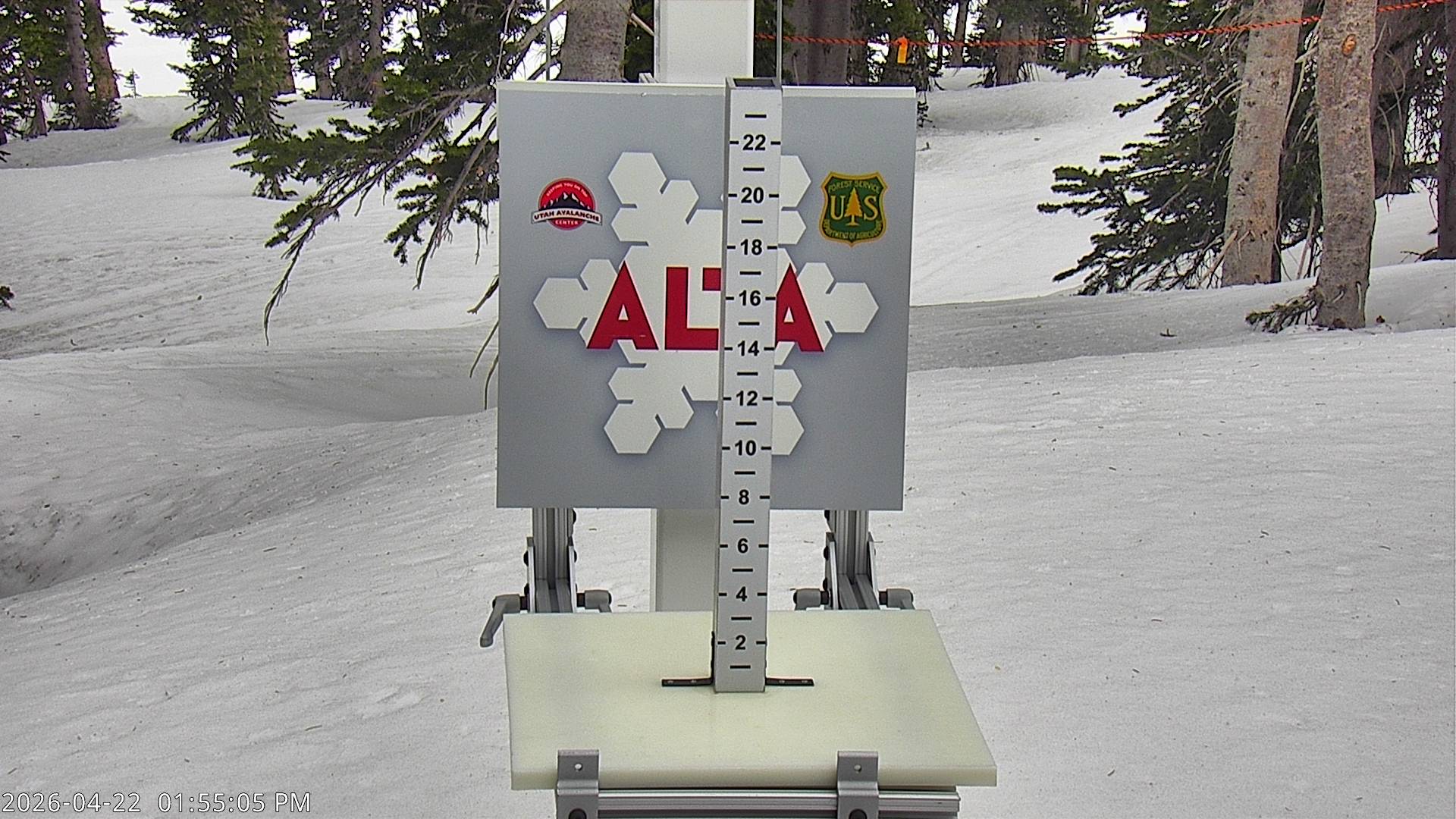 Alta Ski Area snow stake cam
