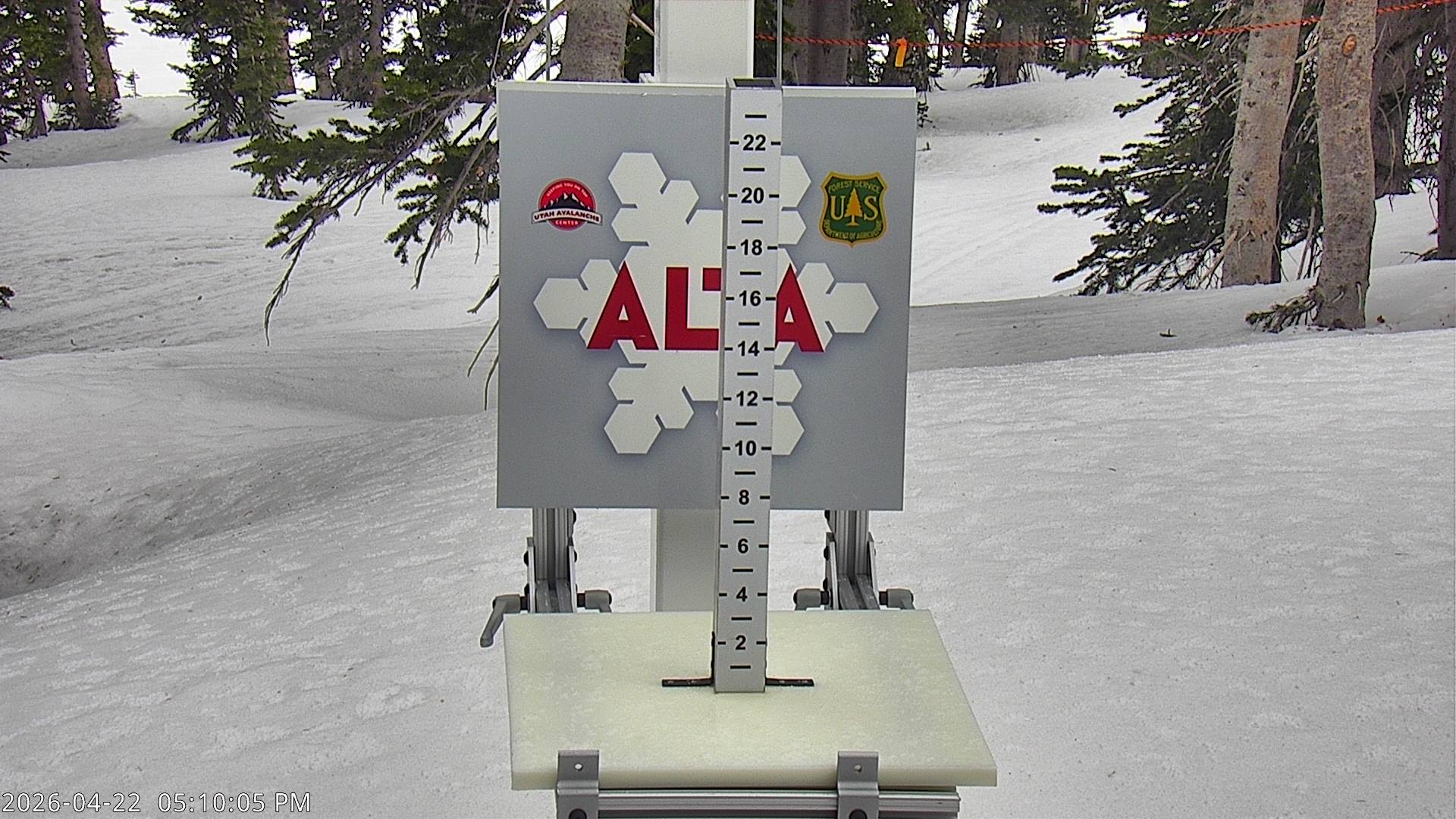 Alta Ski Area snow stake cam