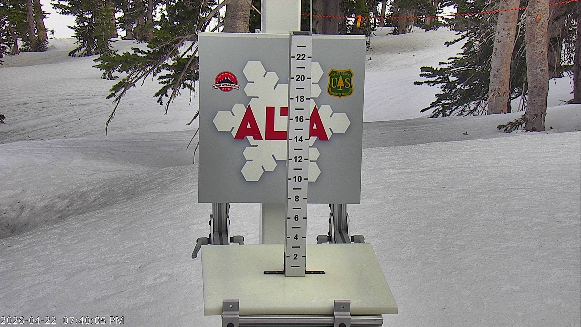 Alta Ski Area snow stake cam