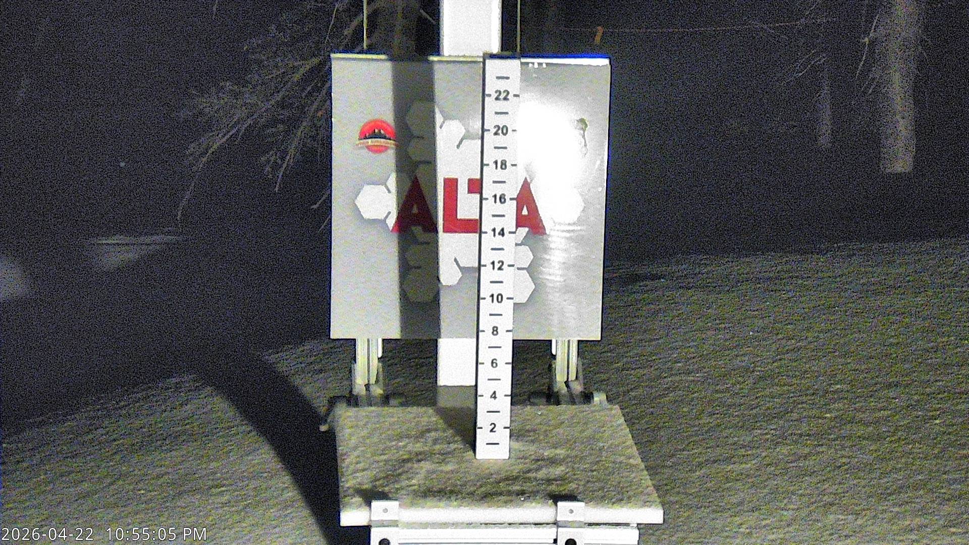 Alta Ski Area snow stake cam