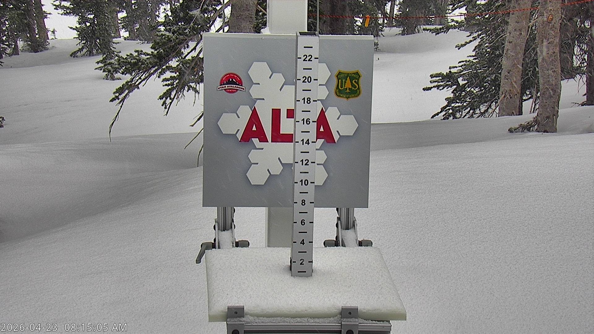 Alta Ski Area snow stake cam