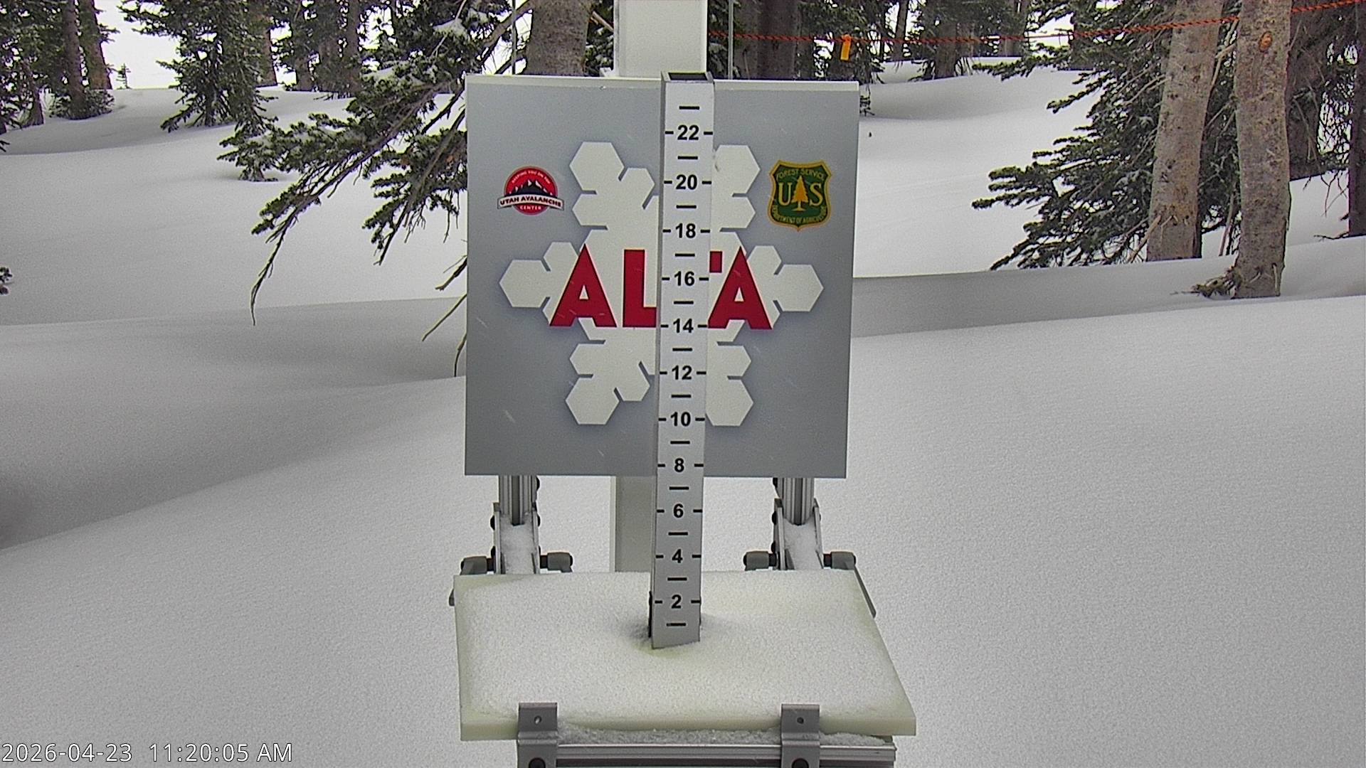 Alta Ski Area snow stake cam