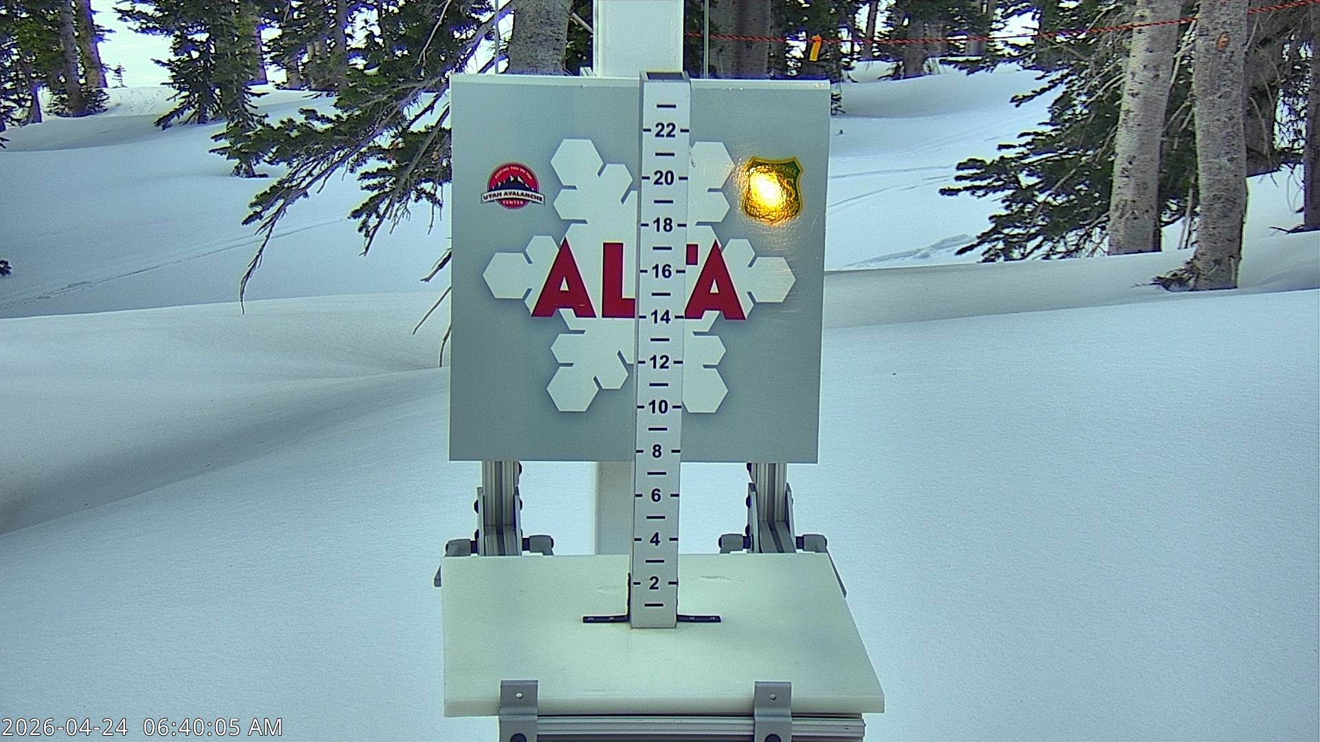 Alta Ski Area snow stake cam