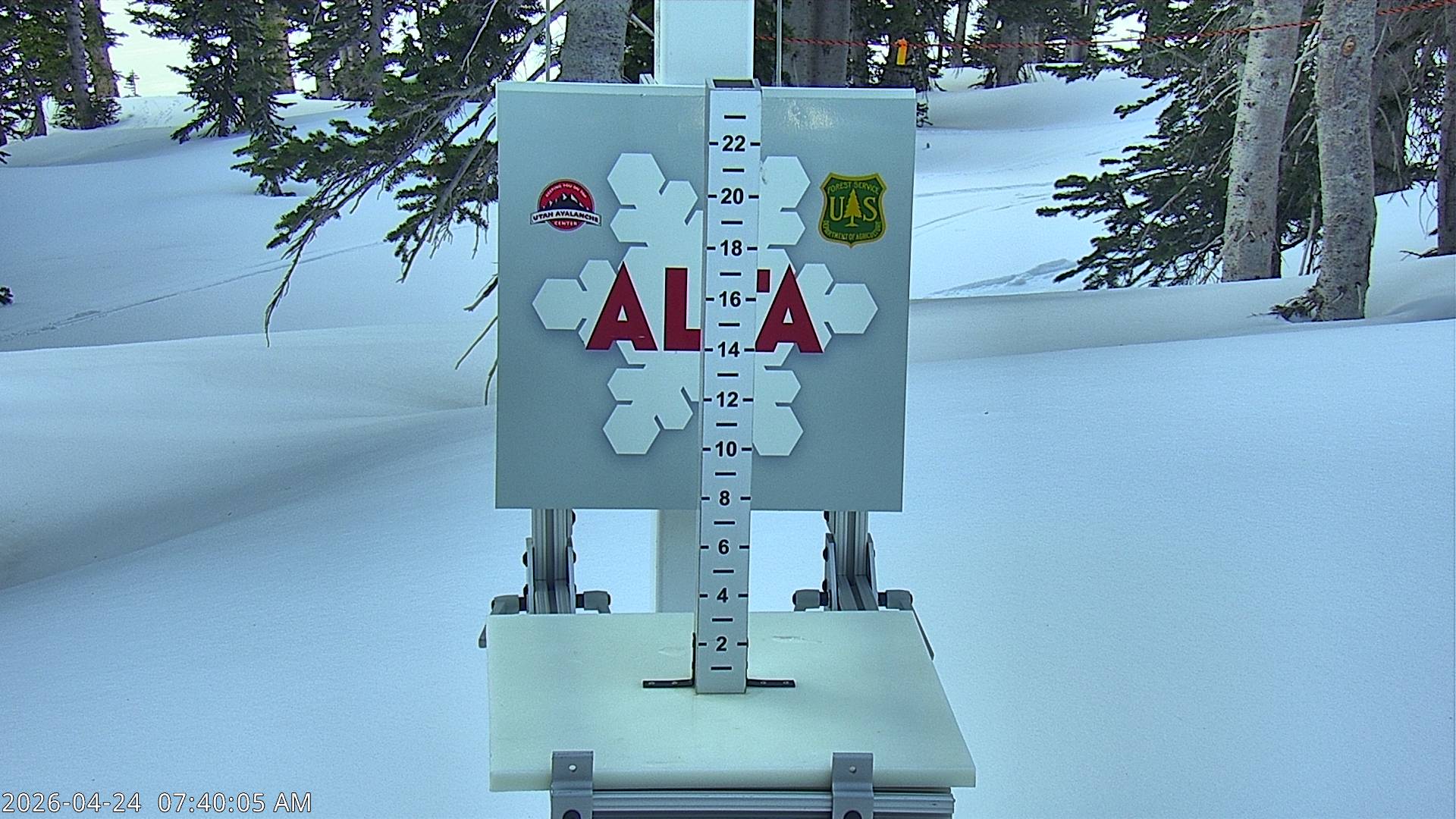 Alta Ski Area Collins Snow Stake