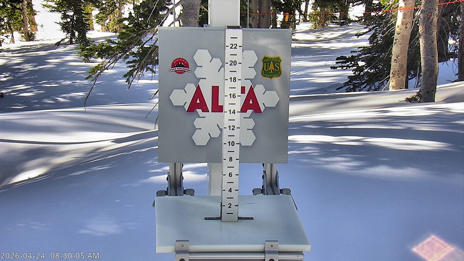 Alta Ski Area Collins Snow Stake