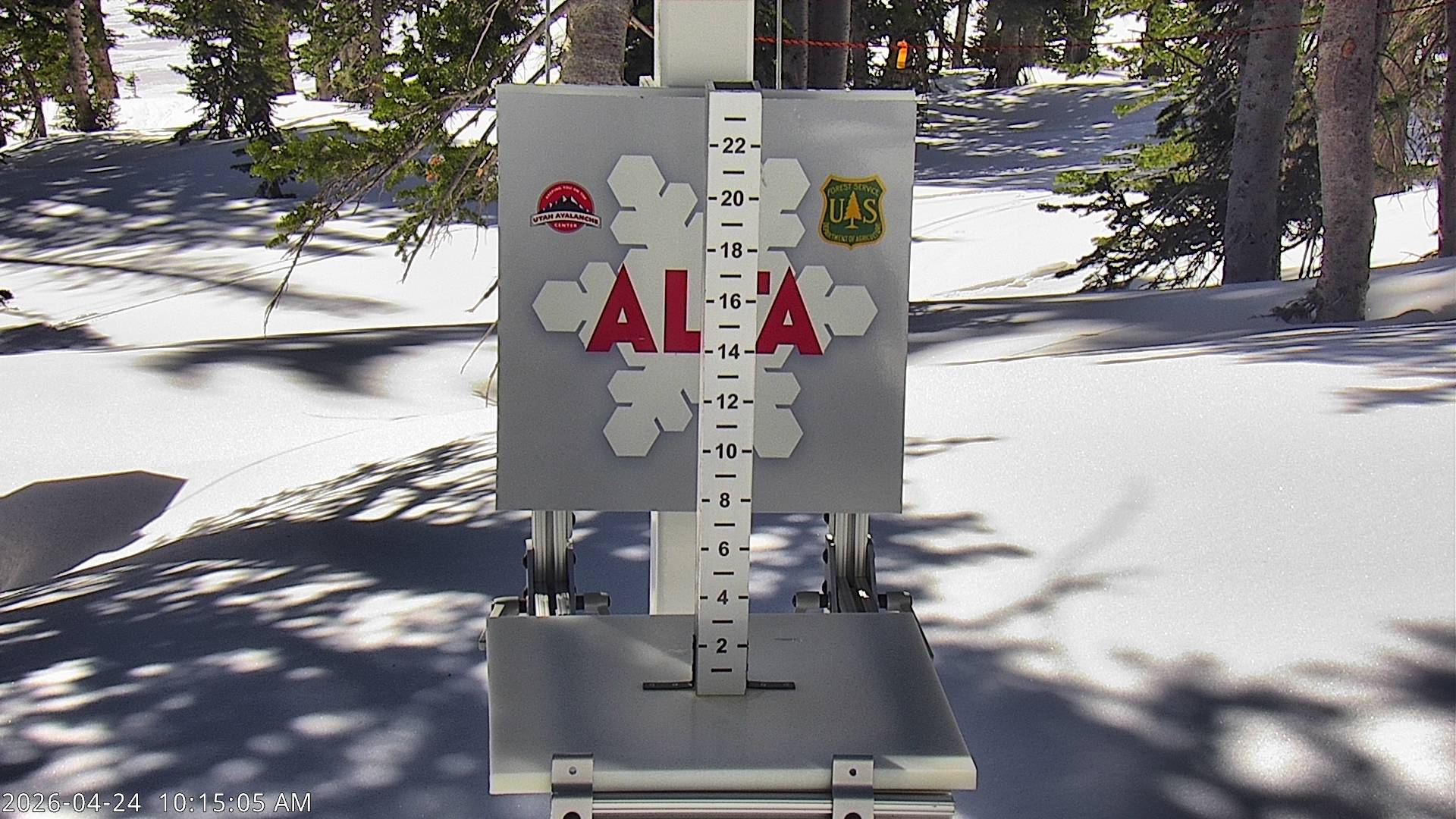Alta Ski Area snow stake cam