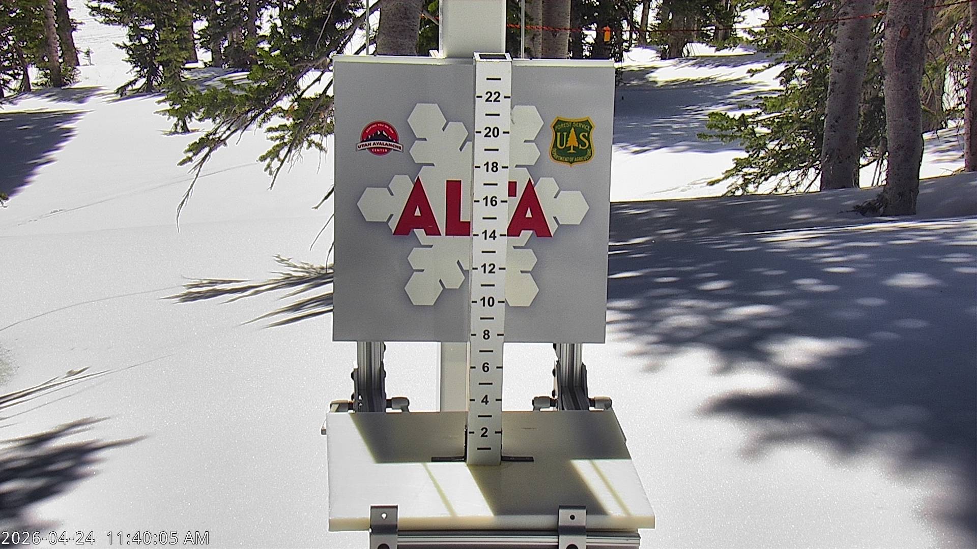 Alta Ski Area snow stake cam