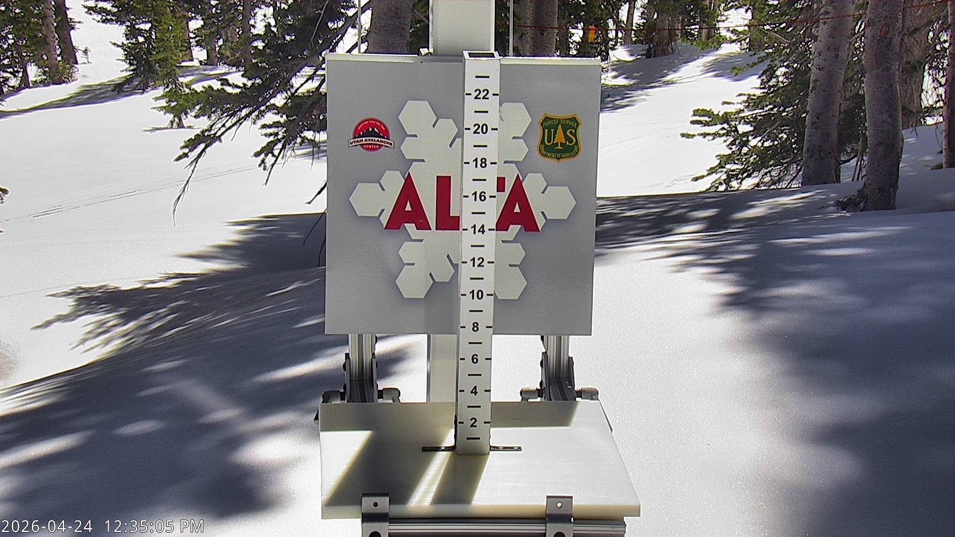 Alta Ski Area snow stake cam
