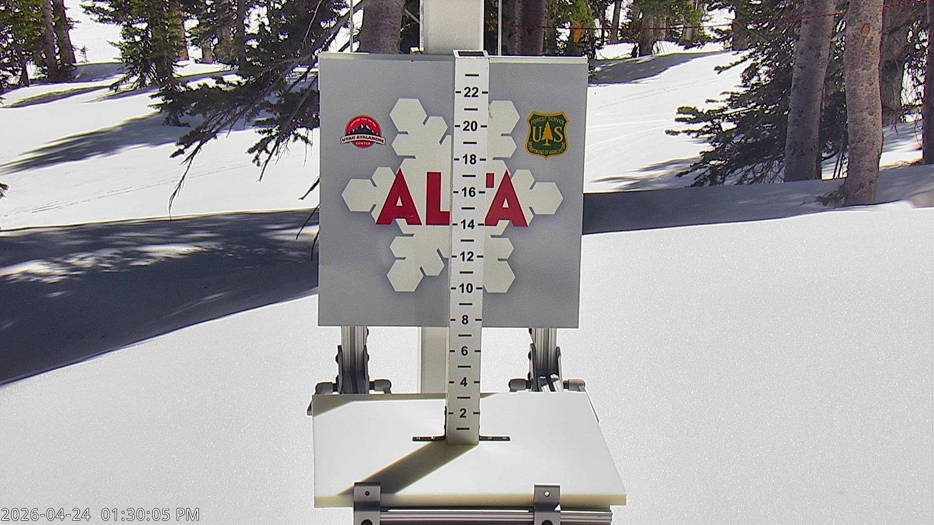 Alta Ski Area snow stake cam