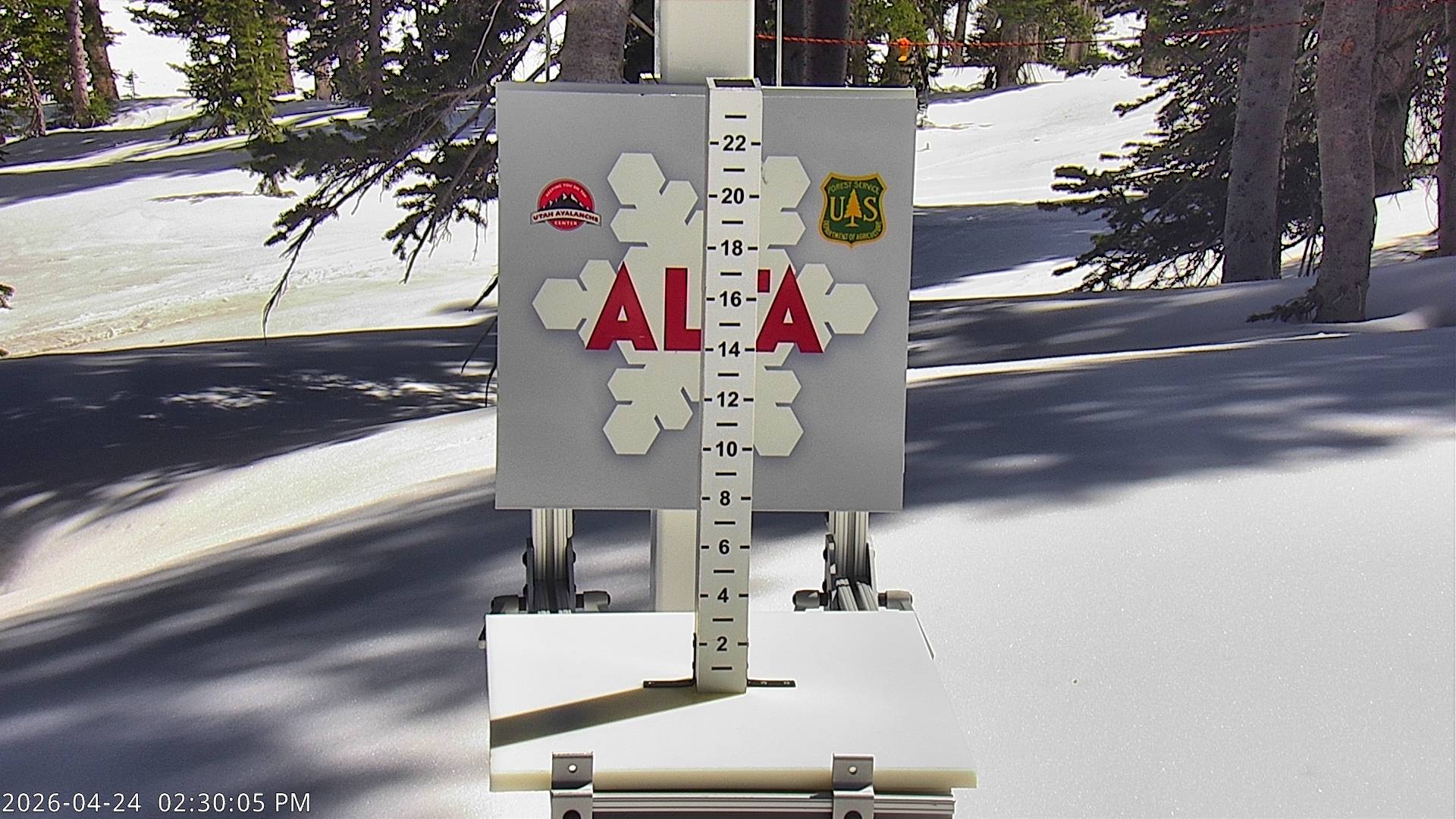 Alta Ski Area snow stake cam