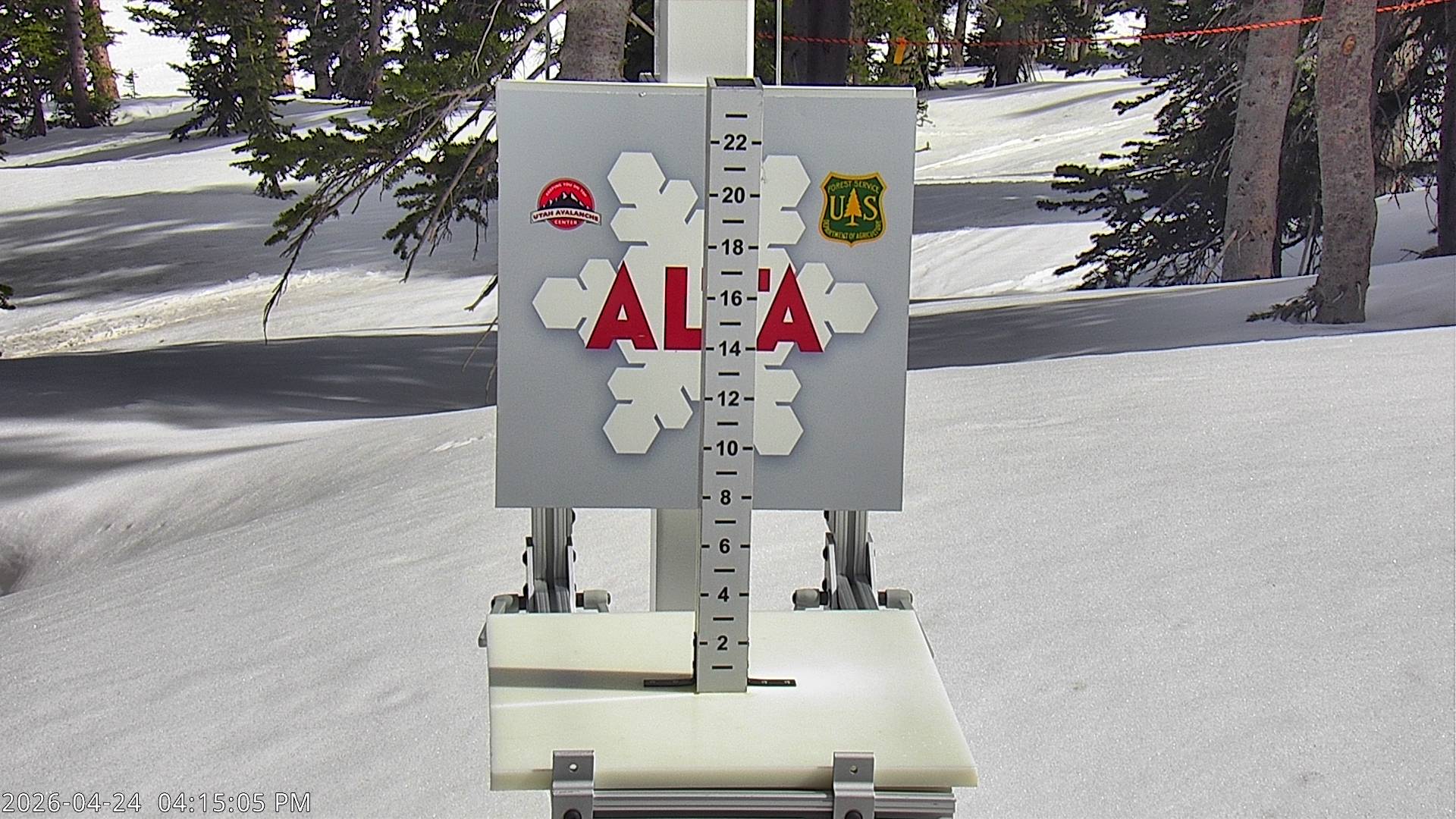 Alta Ski Area snow stake cam