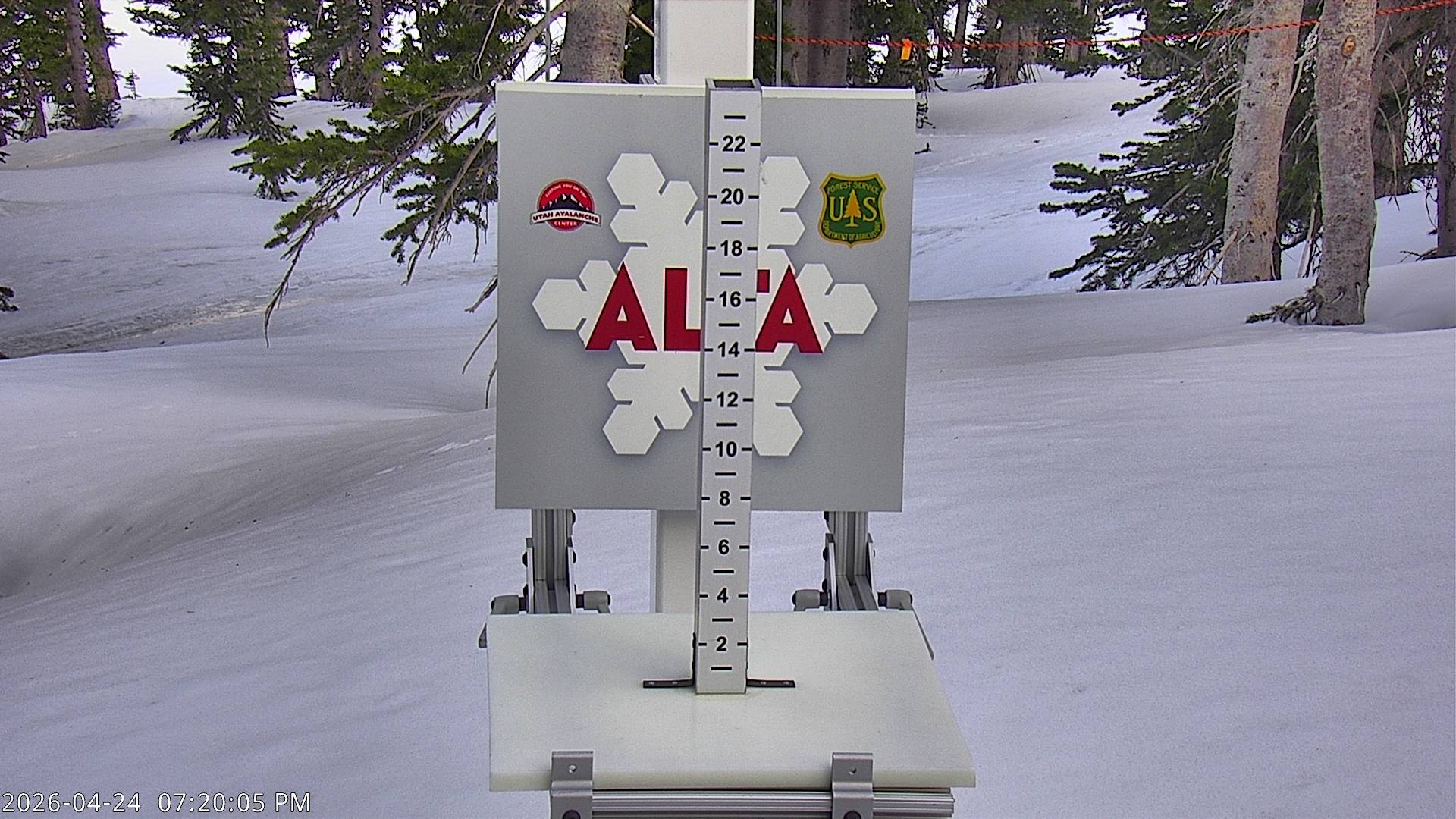 Alta Ski Area snow stake cam