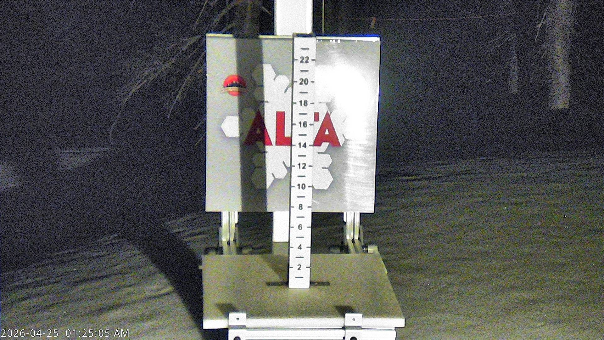 Alta Ski Area snow stake cam