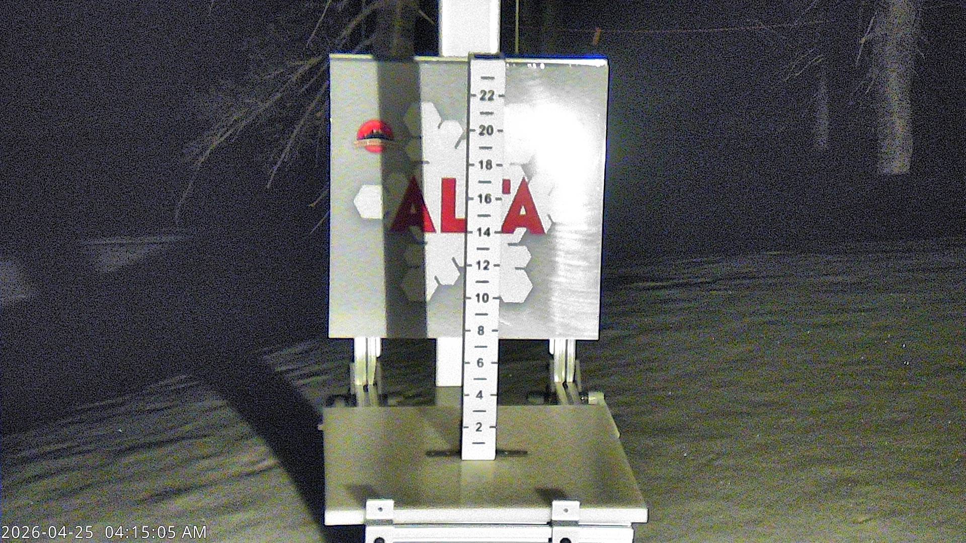 Alta Ski Area snow stake cam