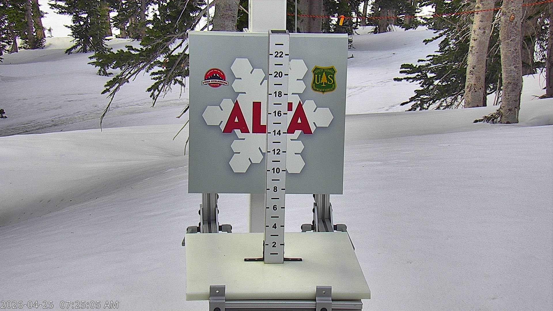 Alta Ski Area snow stake cam