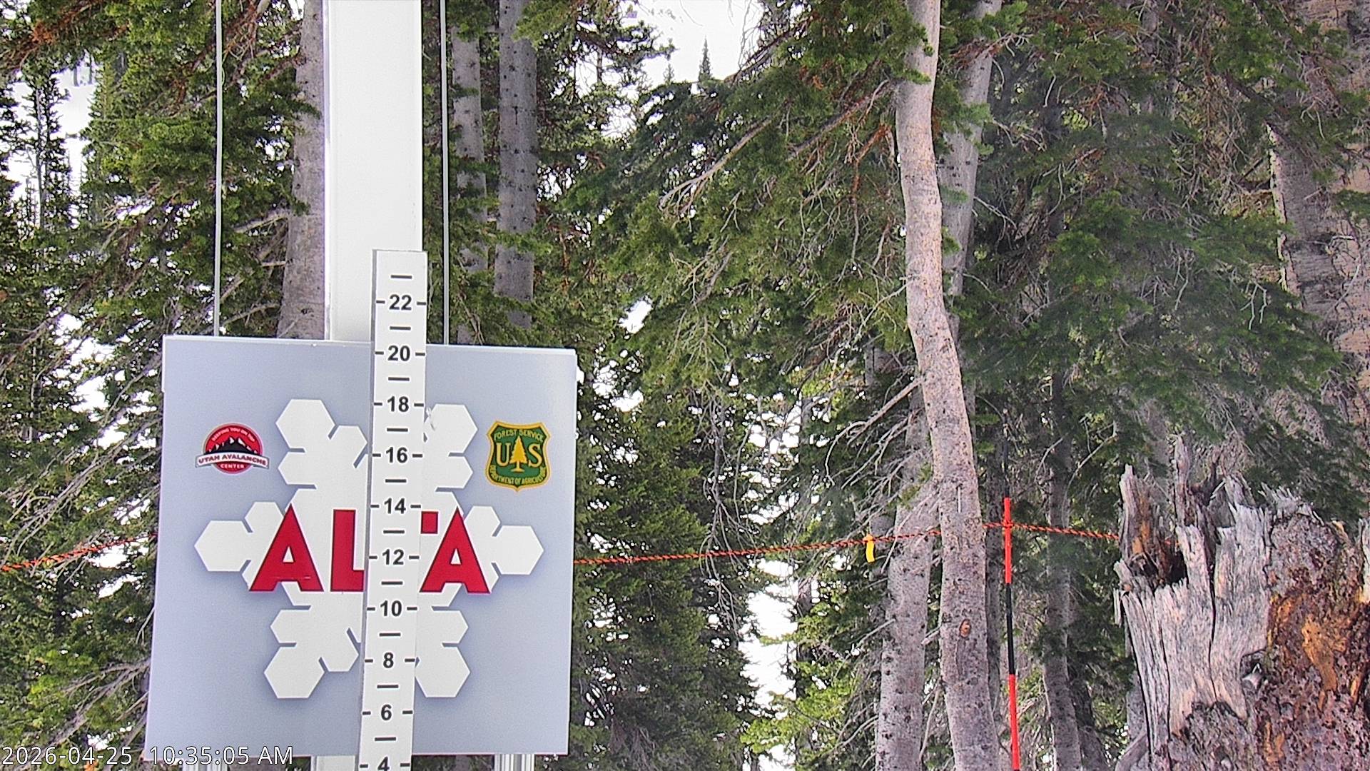 Alta Ski Area snow stake cam