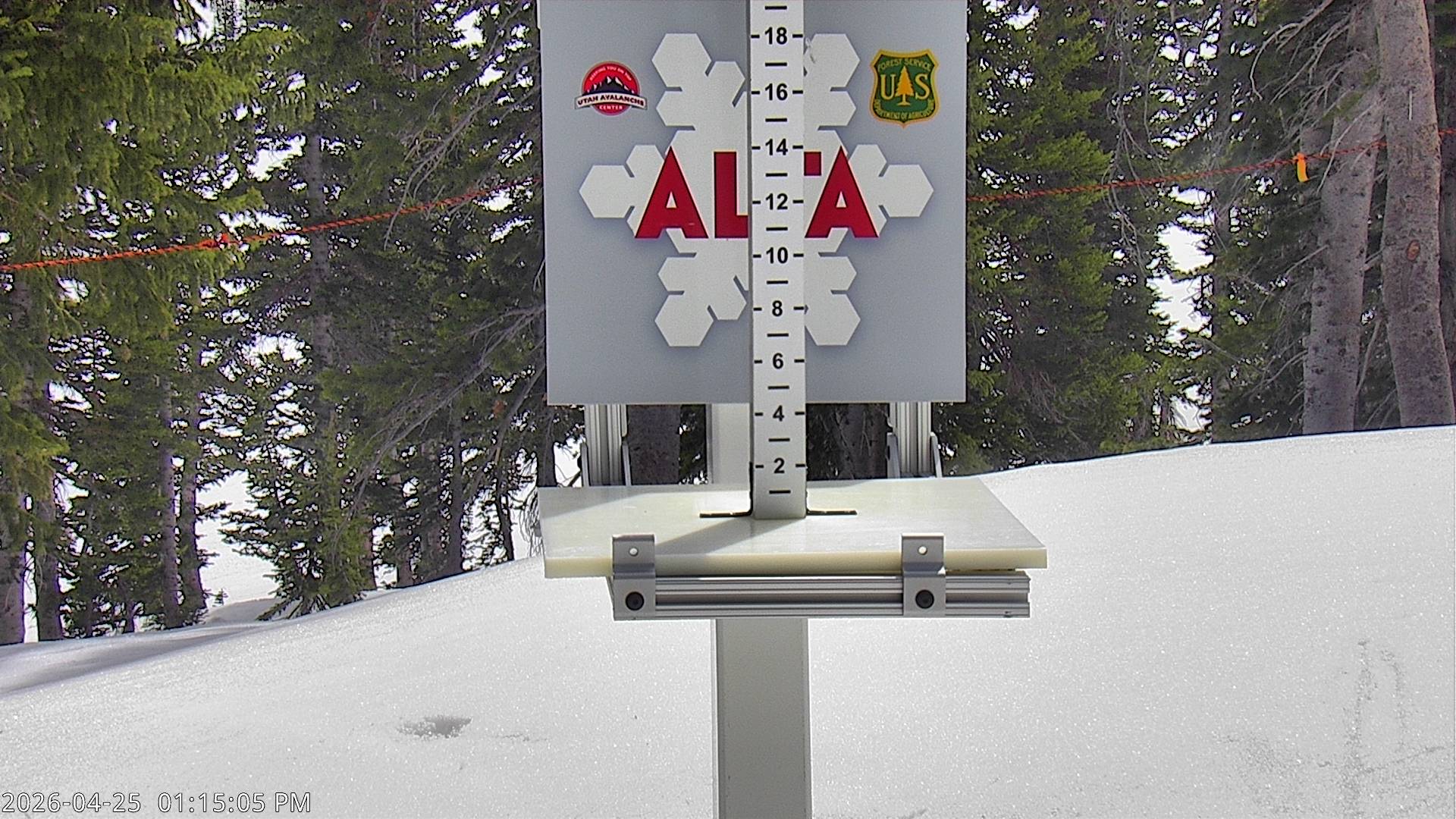 Alta Ski Area snow stake cam