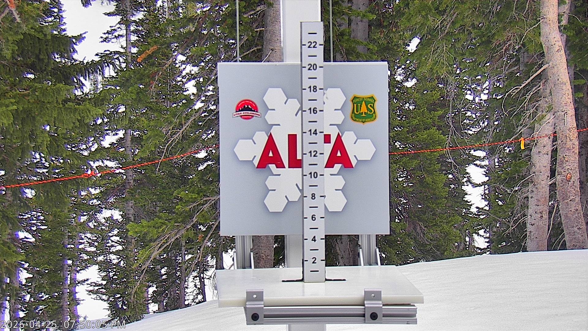 Alta Ski Area snow stake cam