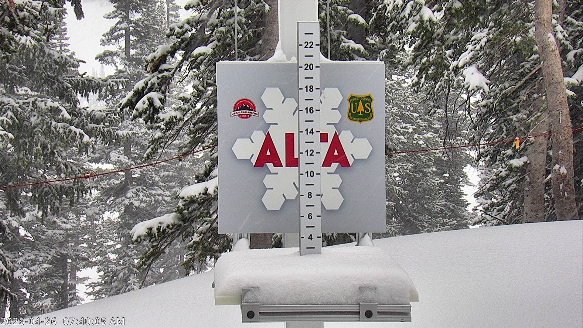 Alta Ski Area snow stake cam