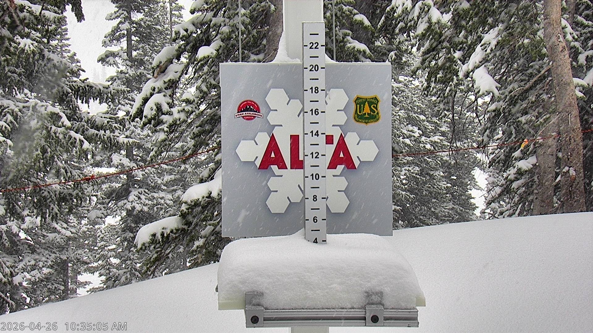 Alta Ski Area snow stake cam