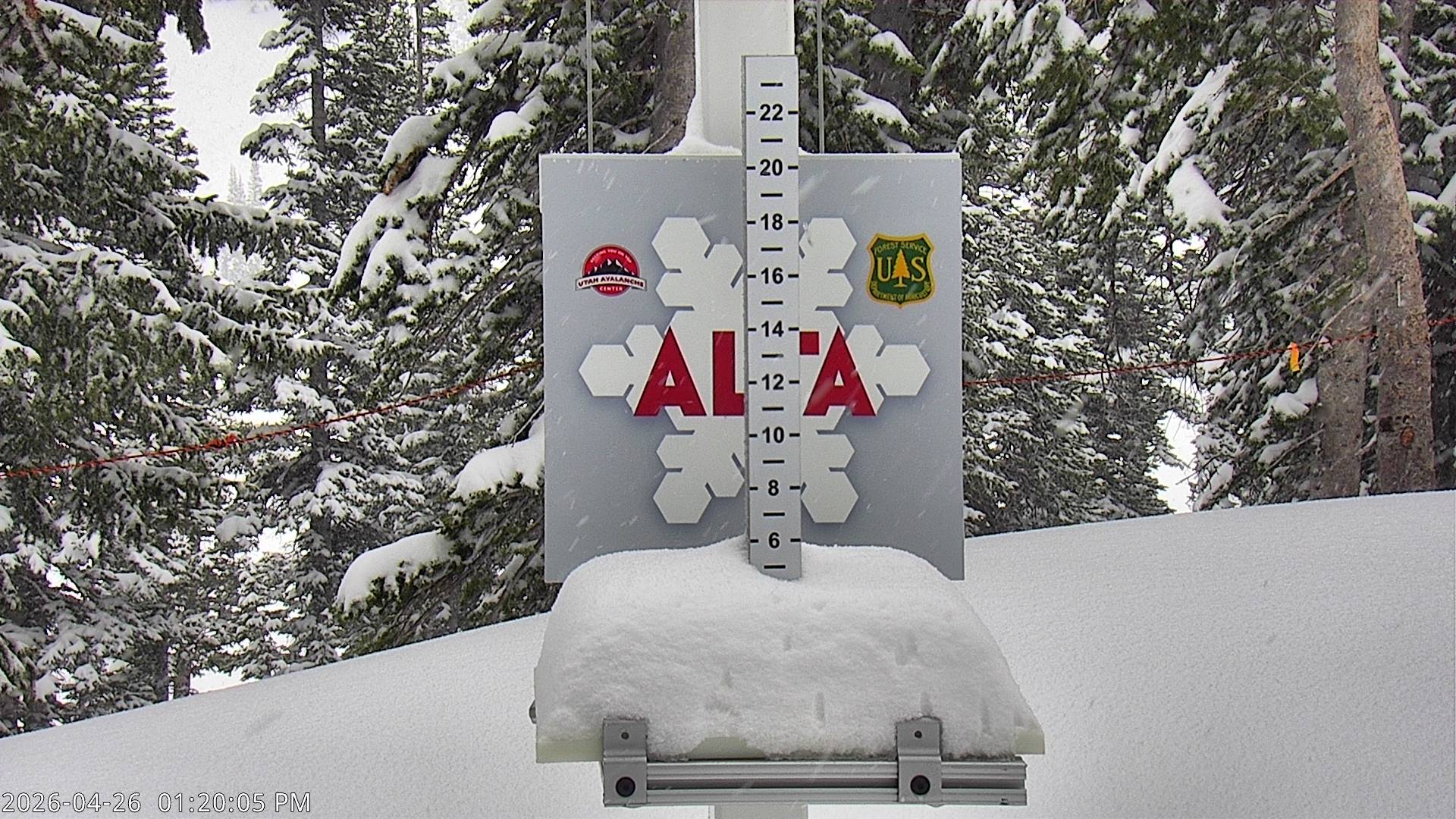 Alta Ski Area snow stake cam