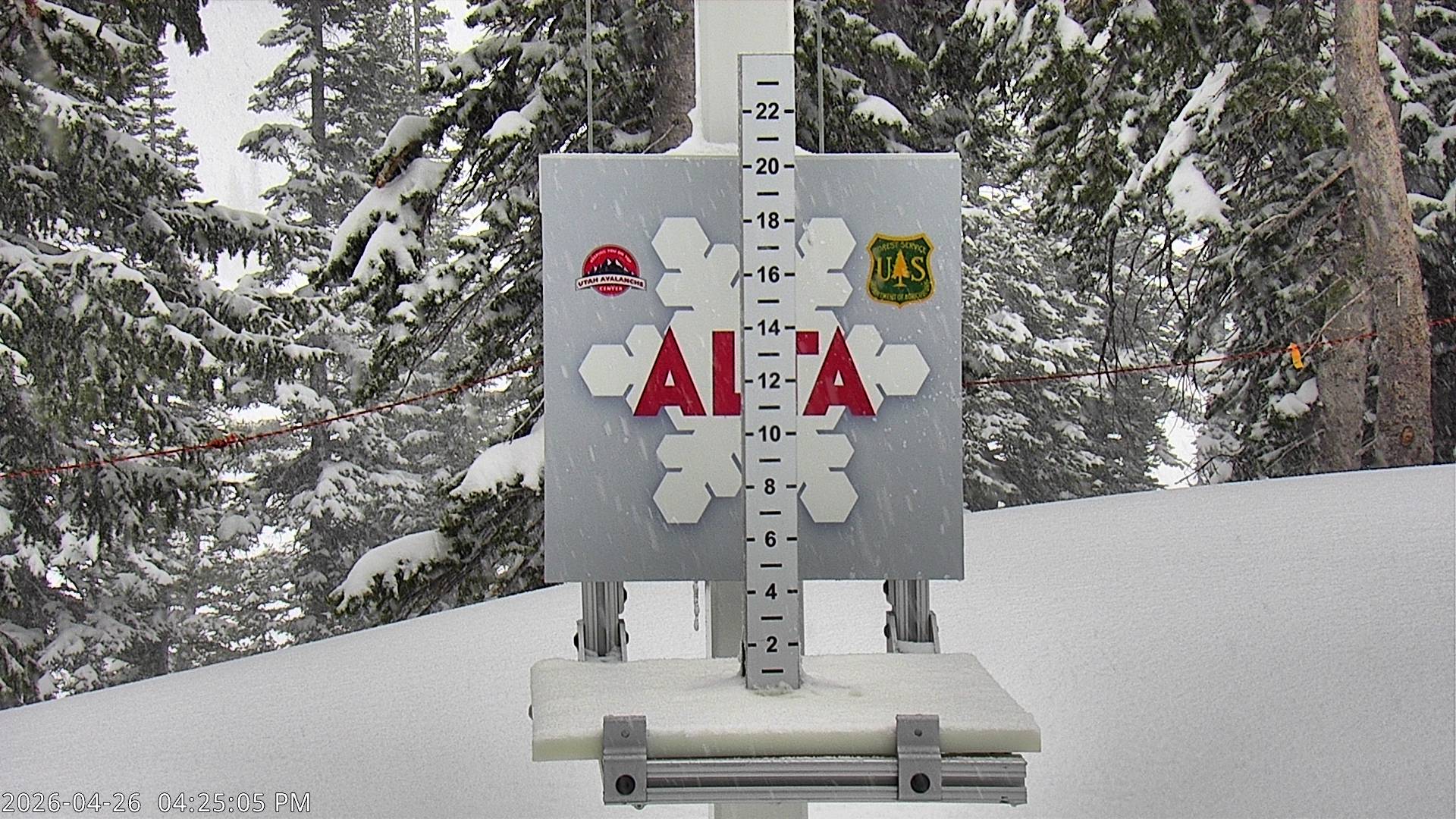 Alta Ski Area snow stake cam