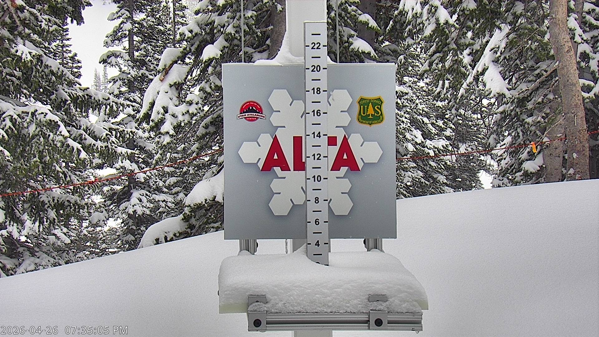 Alta Ski Area snow stake cam