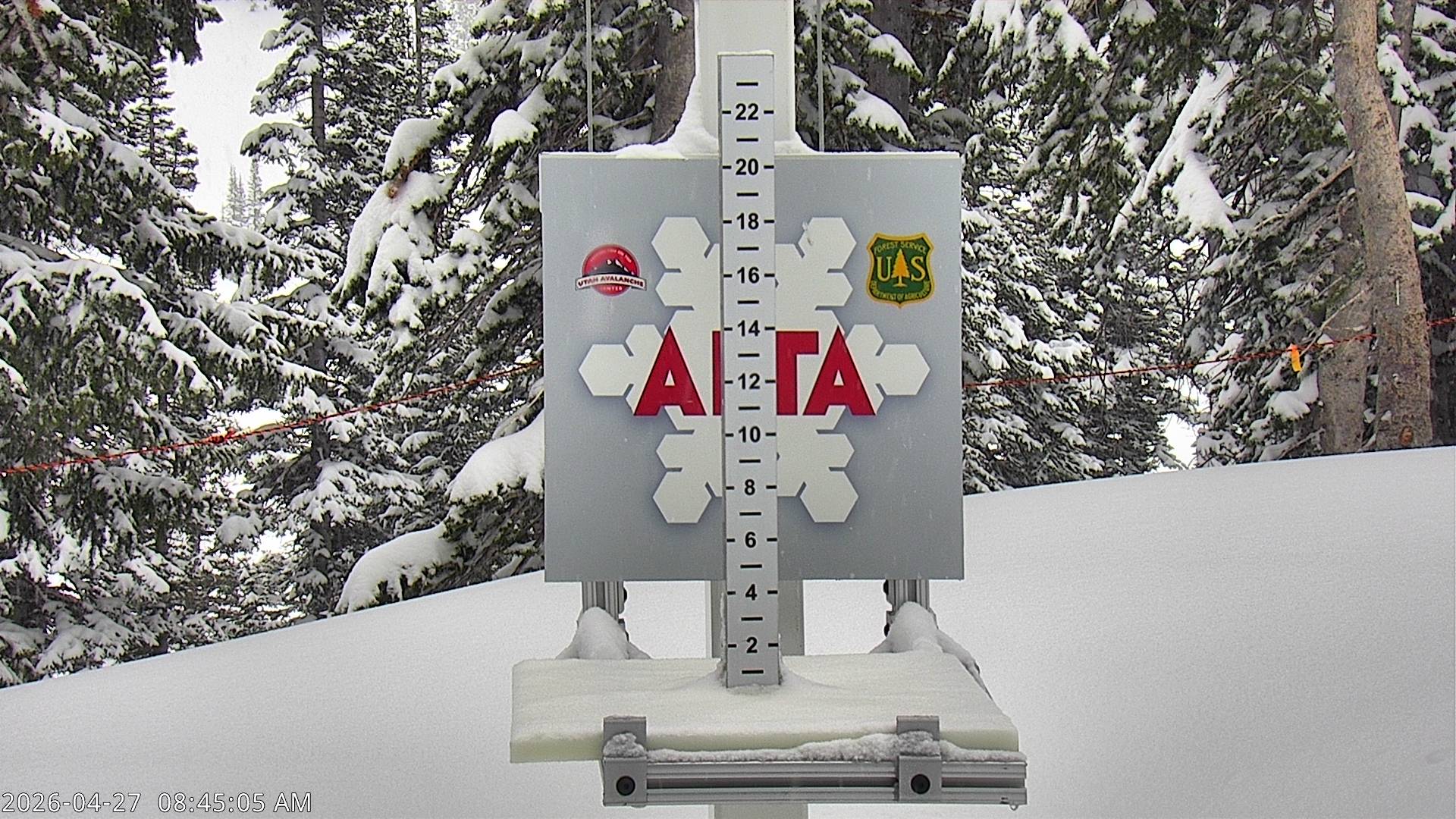 Alta Ski Area snow stake cam