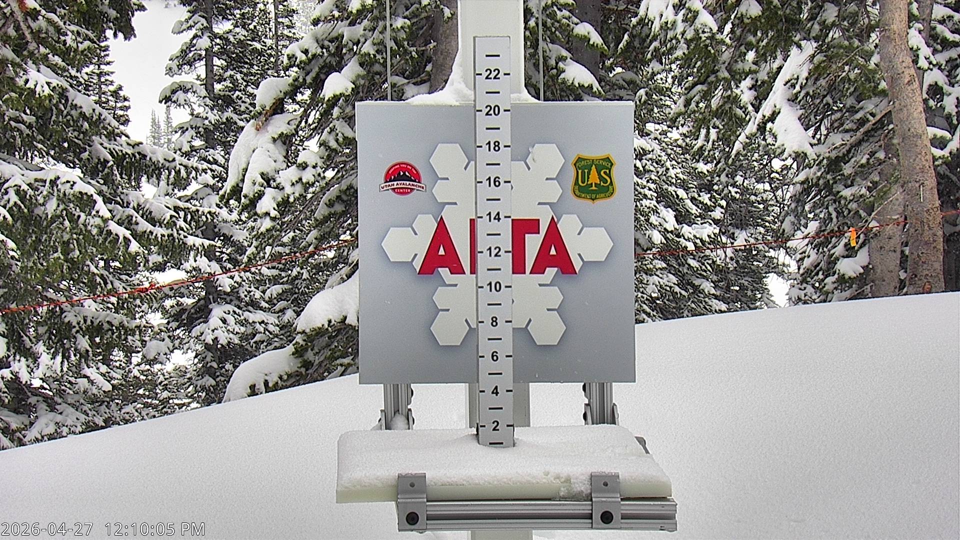 Alta Ski Area snow stake cam