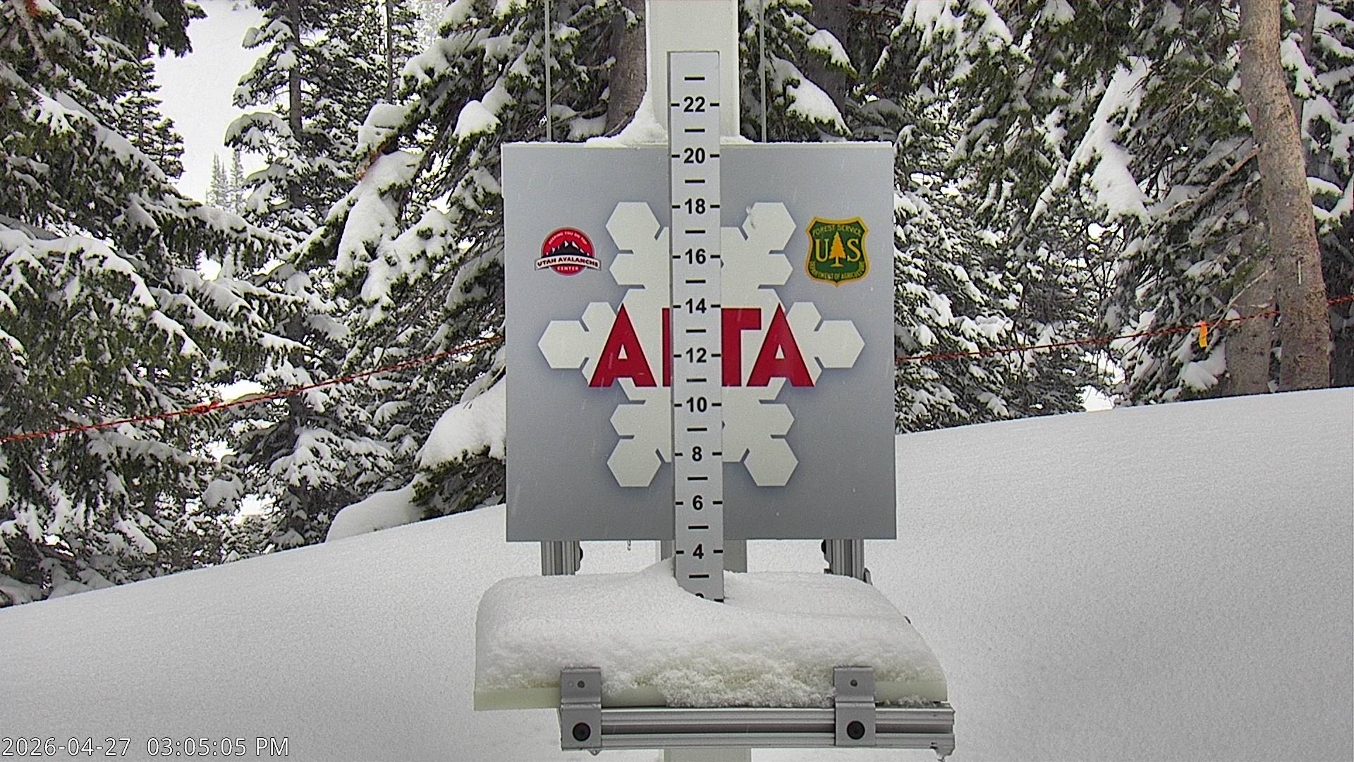 Alta Ski Area snow stake cam