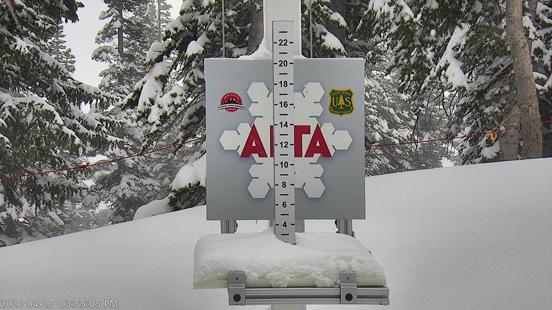 Alta Ski Area snow stake cam